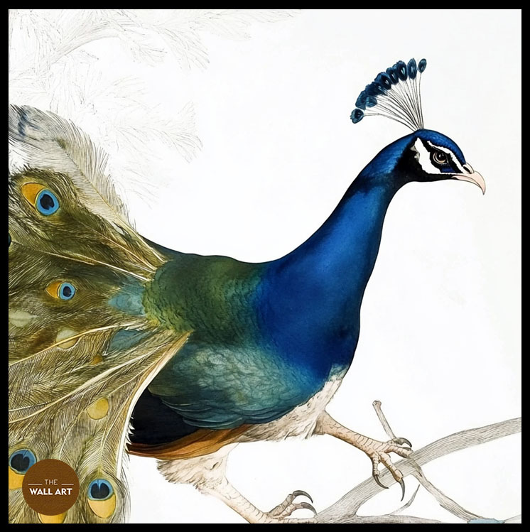 images/products/peacock_on_branch/peacock_on branch_BLACK_P.jpg